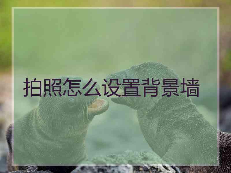 拍照怎么设置背景墙