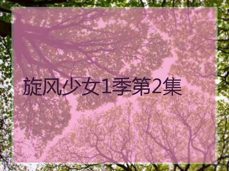 旋风少女1季第2集