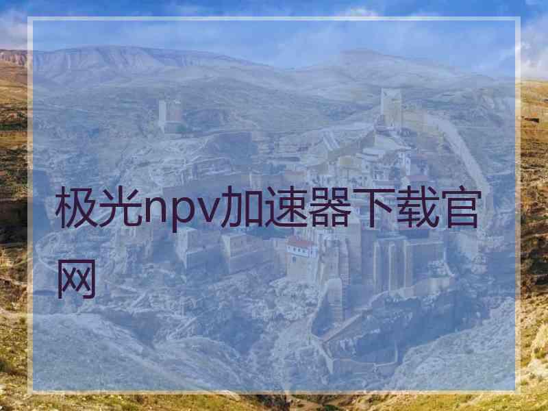 极光npv加速器下载官网