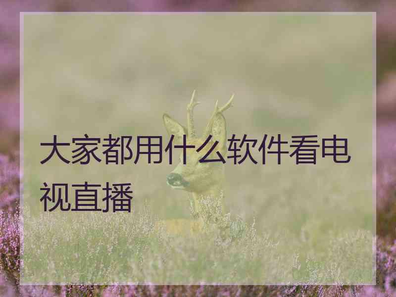 大家都用什么软件看电视直播