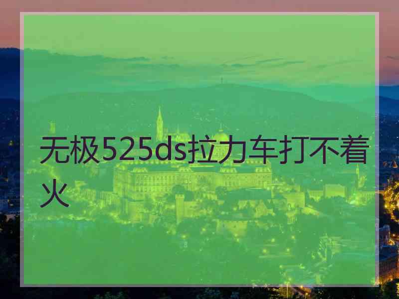 无极525ds拉力车打不着火