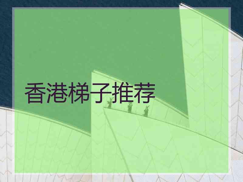 香港梯子推荐