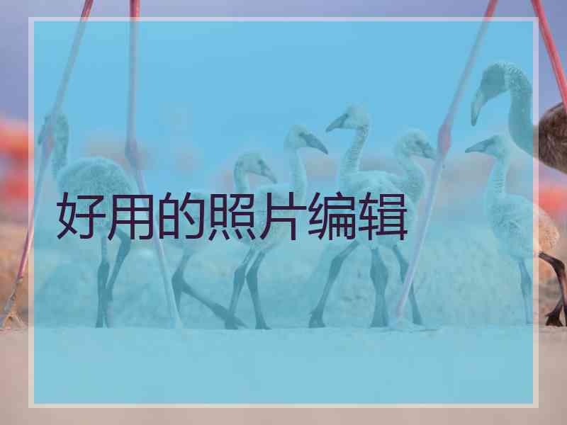 好用的照片编辑