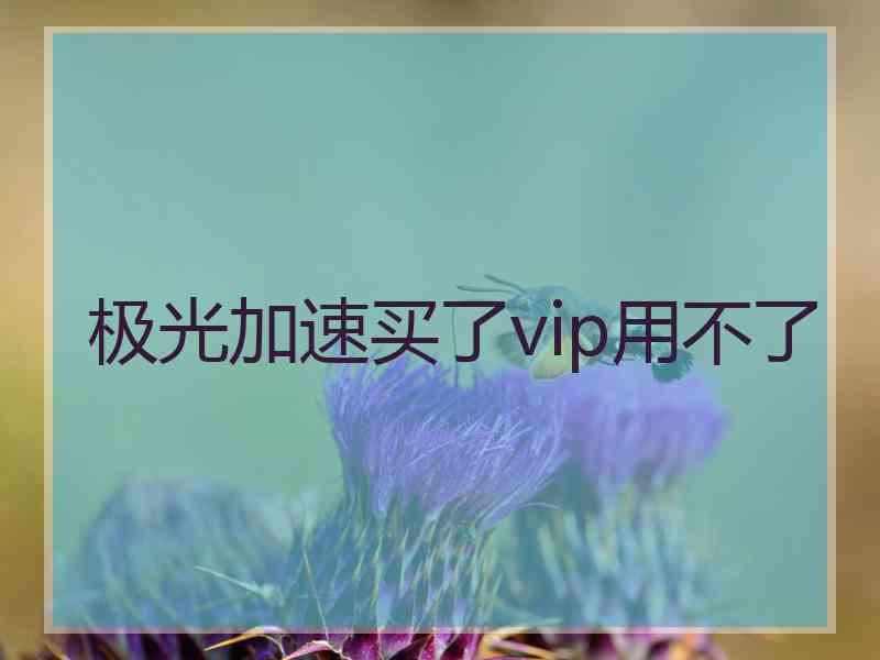 极光加速买了vip用不了