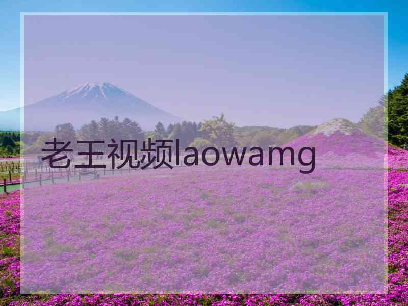 老王视频laowamg