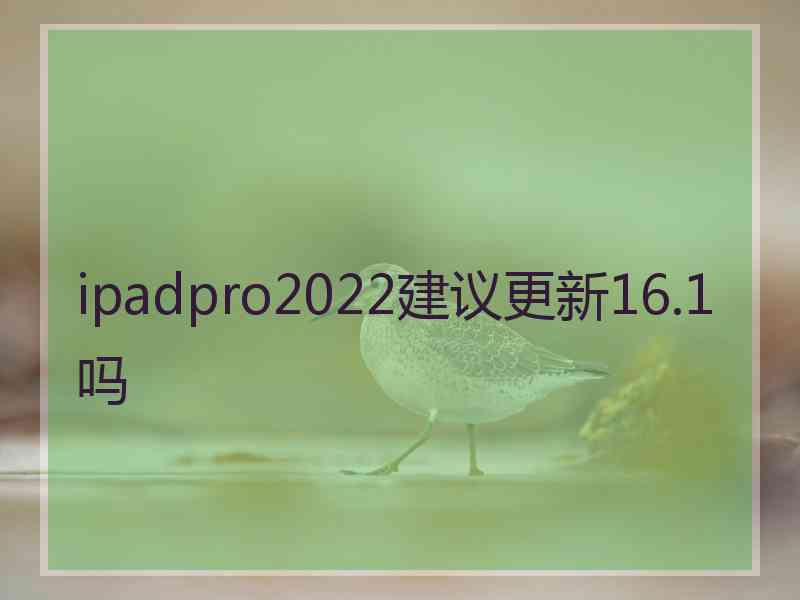 ipadpro2022建议更新16.1吗