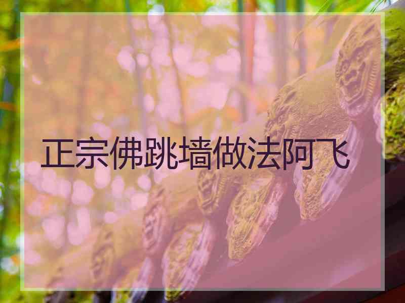 正宗佛跳墙做法阿飞