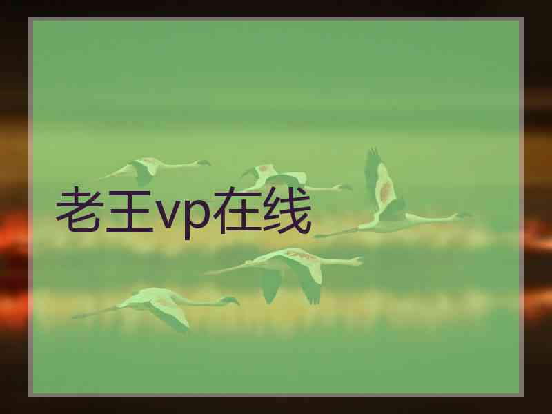 老王vp在线
