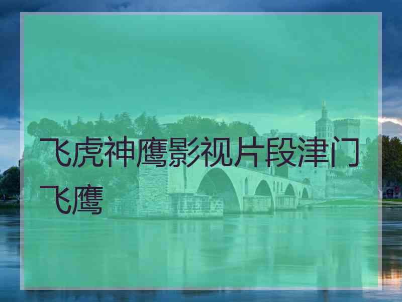 飞虎神鹰影视片段津门飞鹰