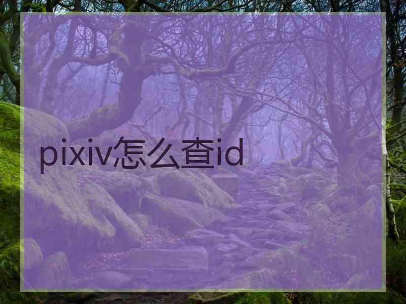 pixiv怎么查id