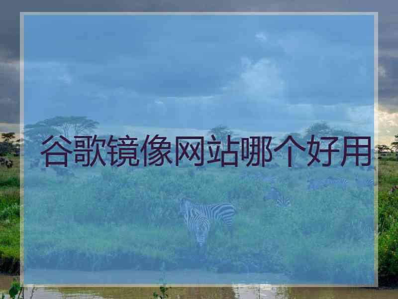 谷歌镜像网站哪个好用