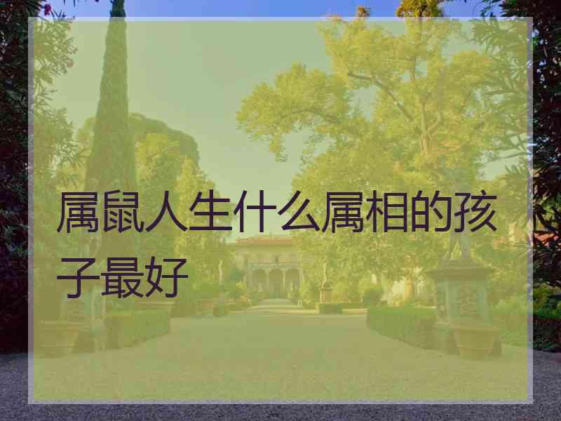 属鼠人生什么属相的孩子最好
