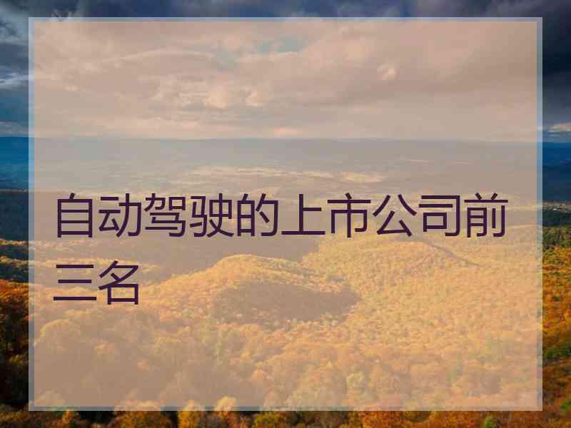 自动驾驶的上市公司前三名