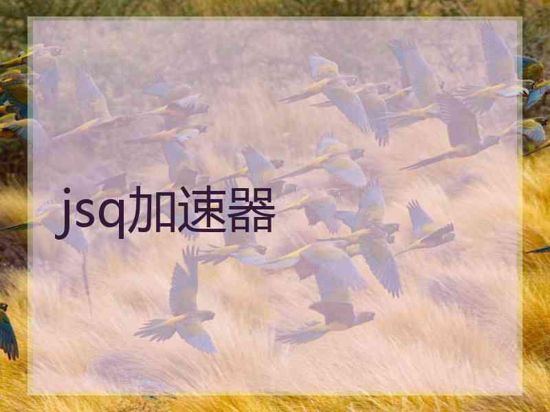 jsq加速器