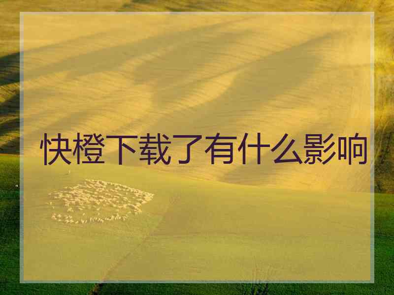 快橙下载了有什么影响