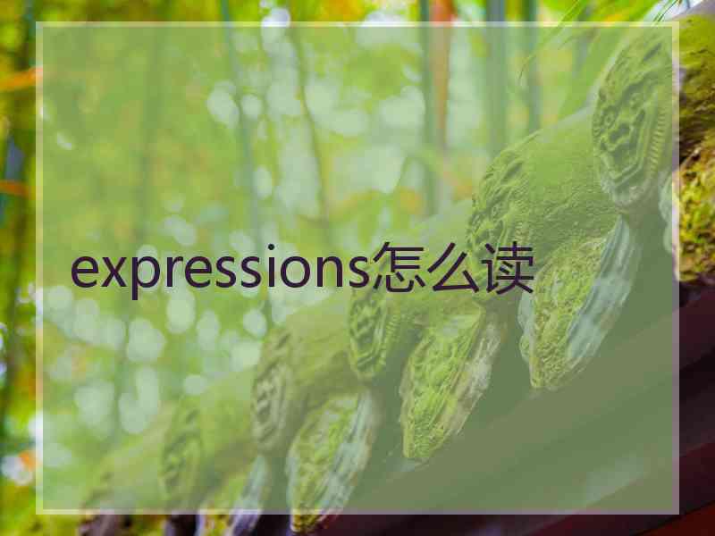 expressions怎么读