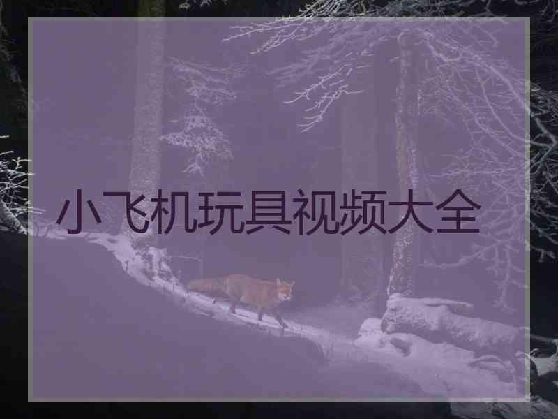 小飞机玩具视频大全
