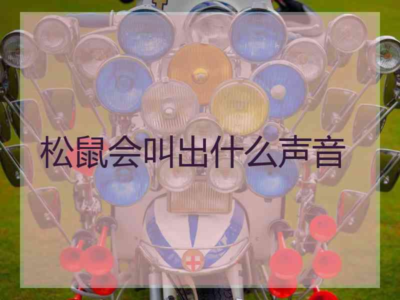 松鼠会叫出什么声音