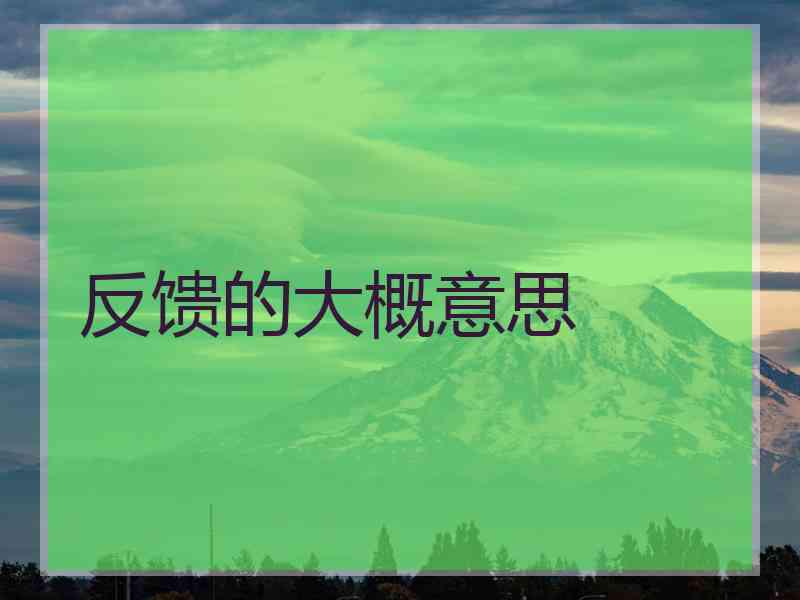 反馈的大概意思