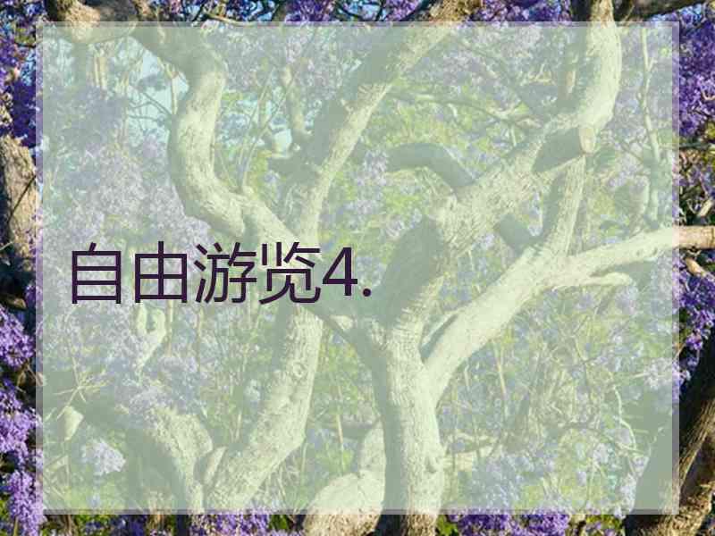 自由游览4.
