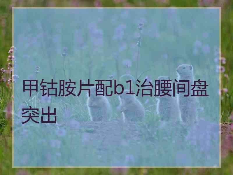 甲钴胺片配b1治腰间盘突出