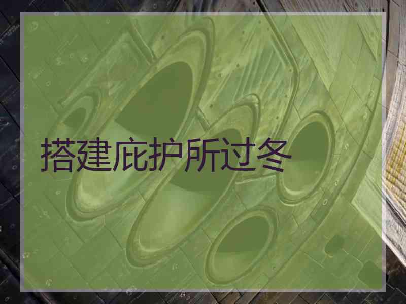 搭建庇护所过冬