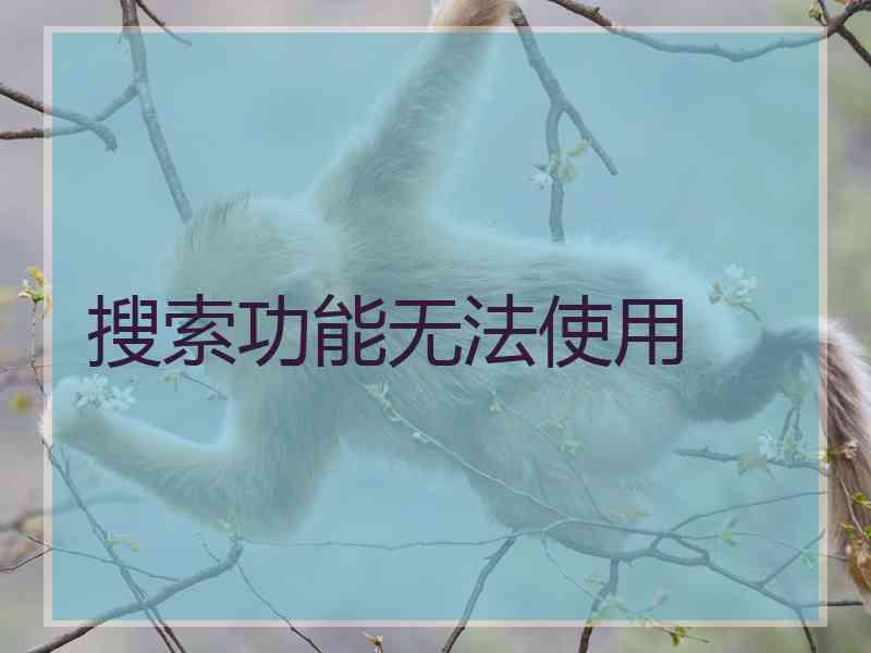 搜索功能无法使用