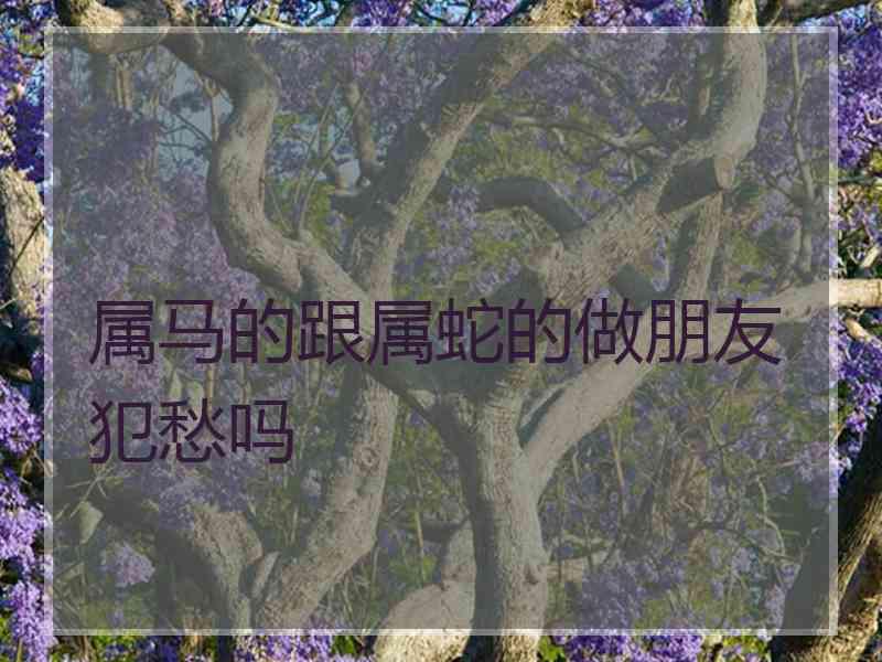 属马的跟属蛇的做朋友犯愁吗