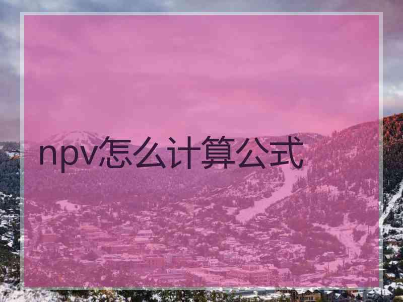 npv怎么计算公式