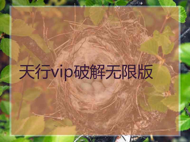 天行vip破解无限版