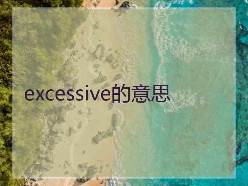 excessive的意思