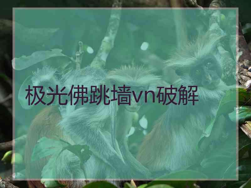 极光佛跳墙vn破解