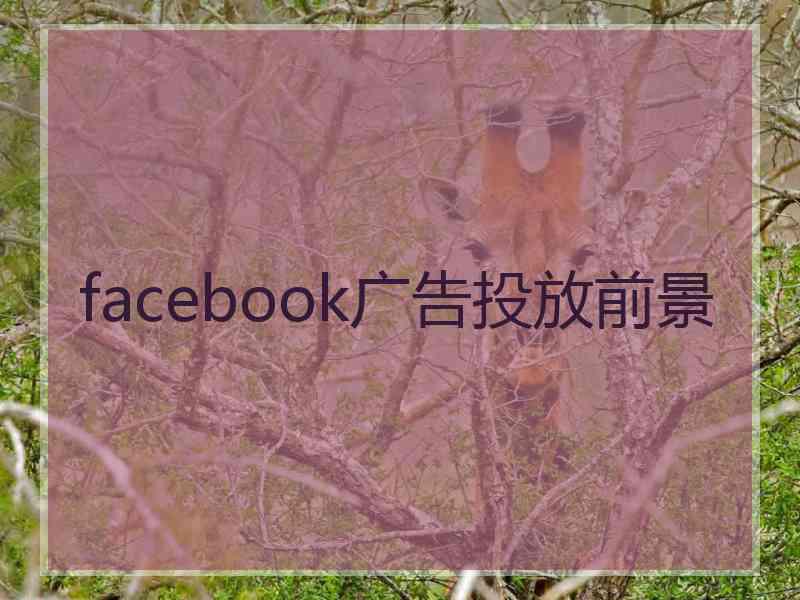 facebook广告投放前景