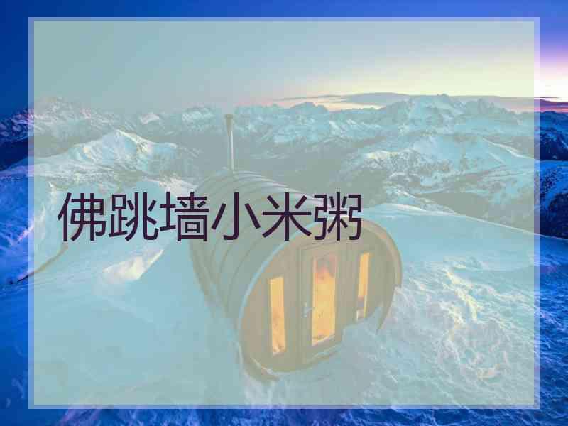 佛跳墙小米粥