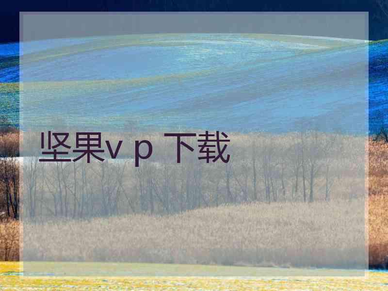 坚果v p 下载