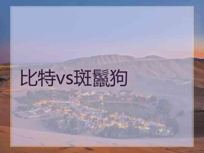 比特vs斑鬣狗