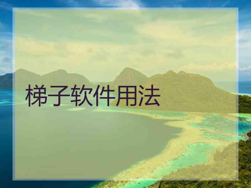 梯子软件用法