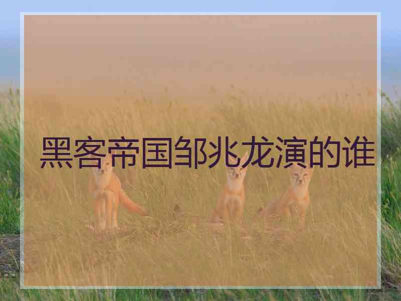 黑客帝国邹兆龙演的谁