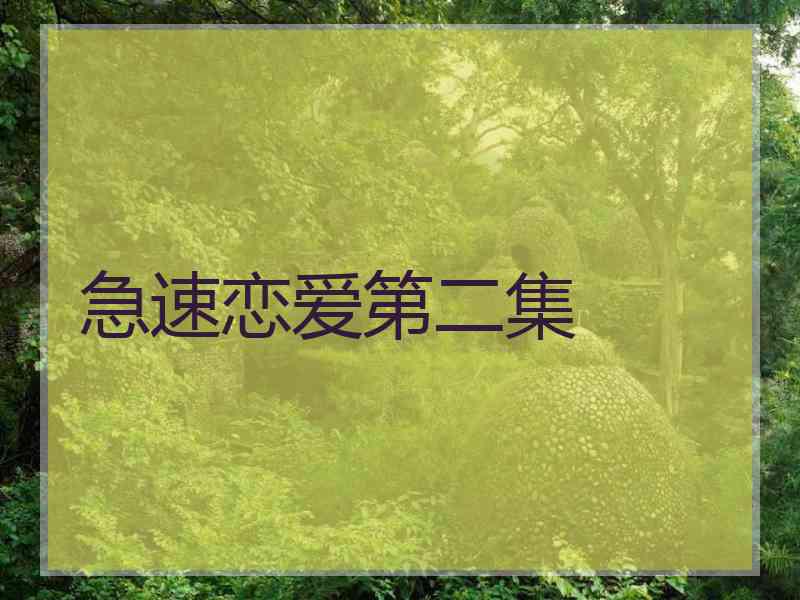 急速恋爱第二集