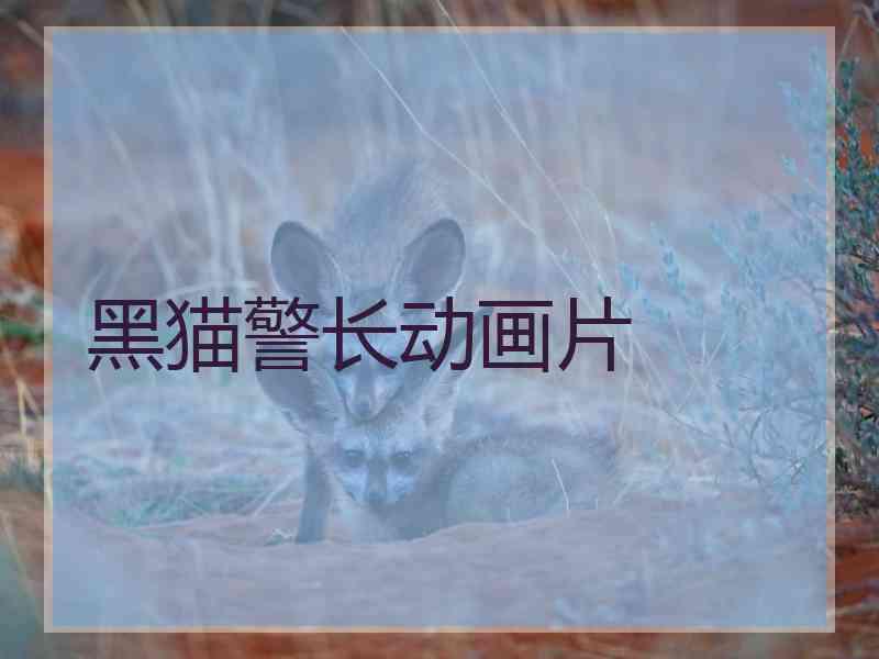 黑猫警长动画片