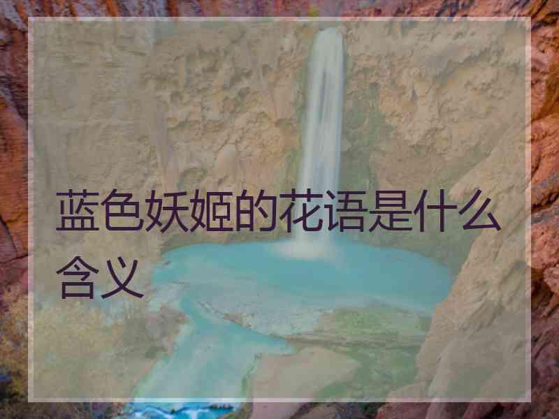 蓝色妖姬的花语是什么含义