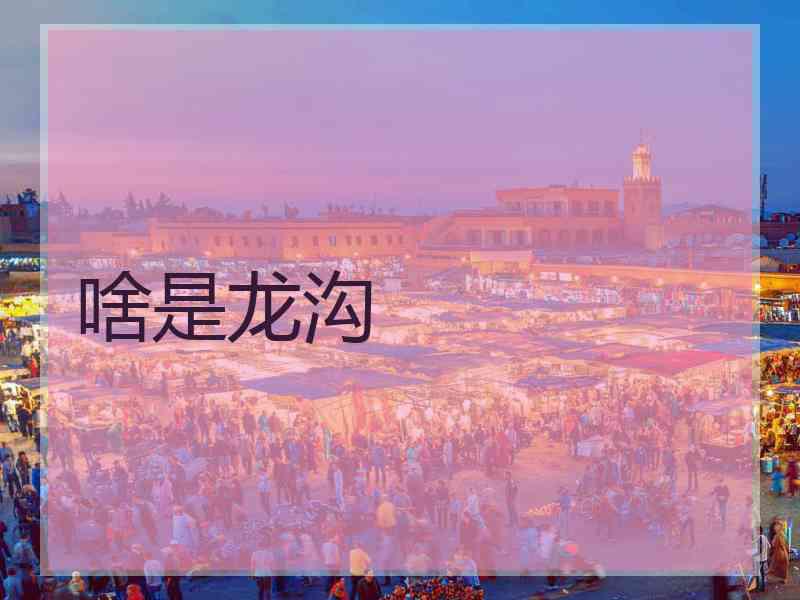 啥是龙沟