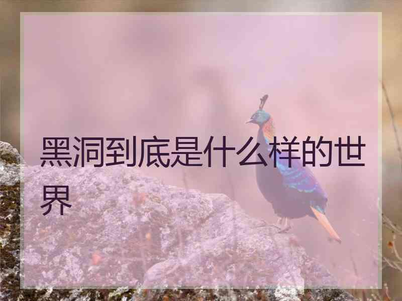 黑洞到底是什么样的世界