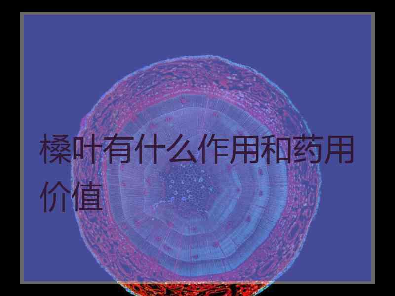 槡叶有什么作用和药用价值