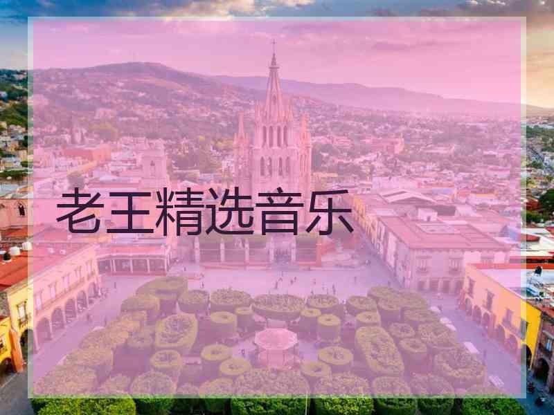 老王精选音乐