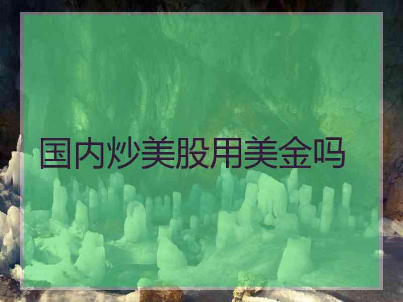 国内炒美股用美金吗