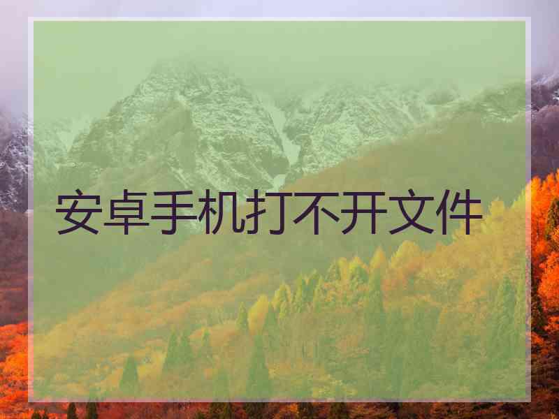 安卓手机打不开文件
