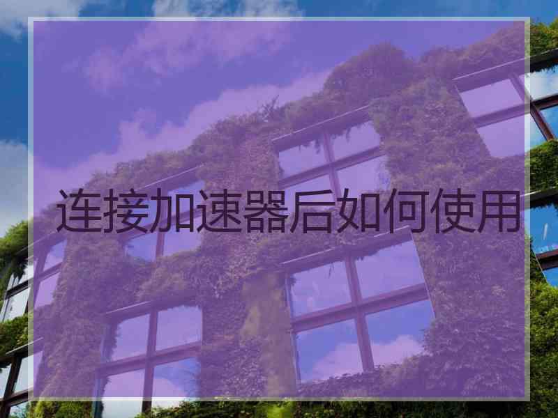 连接加速器后如何使用