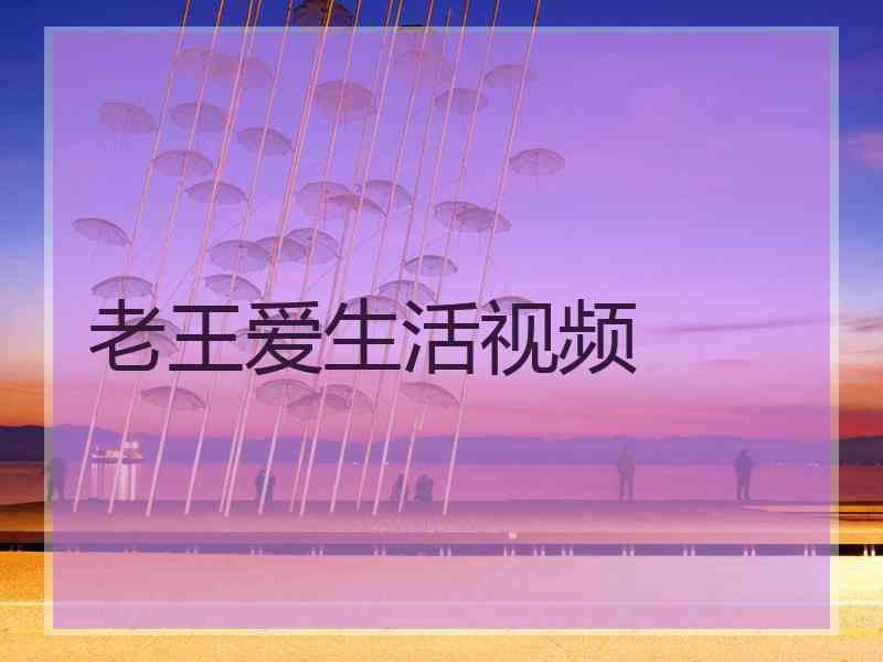 老王爱生活视频