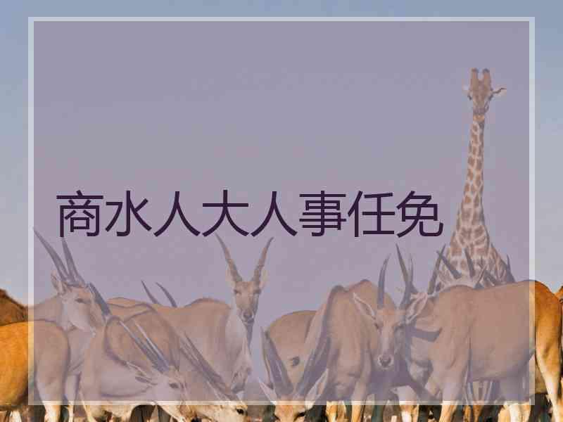 商水人大人事任免
